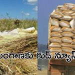 Telangana Rice: దసరా పండుగ వేళ తెలంగాణ ప్రజలకు భారీ శుభవార్త… త్వరలోనే..