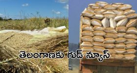 Telangana Rice: దసరా పండుగ వేళ తెలంగాణ ప్రజలకు భారీ శుభవార్త... త్వరలోనే..