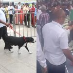 Ratan Tata Dog: నీ వెంటే నేనుంటా.. టాటా అంత్యక్రియల్లో పాల్గొన్న పెంపుడు కుక్క గోవా.. కన్నీళ్లు ఆగవు