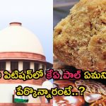 Tirupati Laddu Row: తిరుపతి లడ్డూ వివాదంపై సుప్రీం కోర్టు విచారణ వాయిదా.. మళ్లీ అప్పుడే..