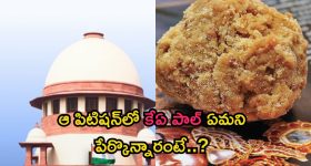 Varahi Declaration: 7 పాయింట్లతో ‘వారాహి డిక్లరేషన్’.. సనాతన ధర్మ పరిరక్షణకు ప్రత్యేక చట్టం, కీలక అంశాల ప్రస్తావన