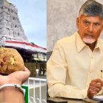 SIT probe temporarily stopped: తిరుమల లడ్డూ వివాదం, సిట్ దర్యాప్తు బ్రేక్ వెనుక.. అసలేం జరిగింది?