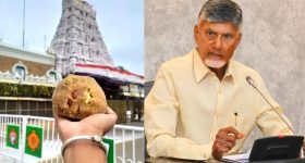 SIT probe temporarily stopped: తిరుమల లడ్డూ వివాదం, సిట్ దర్యాప్తు బ్రేక్ వెనుక.. అసలేం జరిగింది?