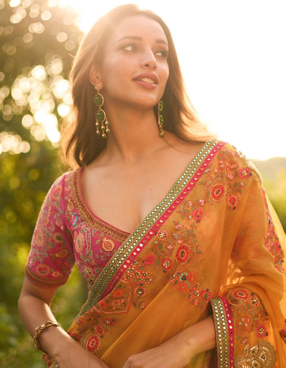 Tripti Dimri: రొమాంటిక్ టచ్‌.. త్రిప్తి డిమ్రీ వాటే లుక్స్