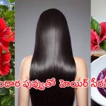 Hibiscus Hair Mask: మందార పువ్వుతో ఈ హెయిర్ సీరమ్ ట్రై చేసారంటే.. ఊడిన జుట్టు మళ్లీ వస్తుంది..
