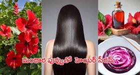 Hibiscus Hair Mask: మందార పువ్వుతో ఈ హెయిర్ సీరమ్ ట్రై చేసారంటే.. ఊడిన జుట్టు మళ్లీ వస్తుంది..