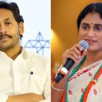 Sharmila on Jagan: ఈ శతాబ్దపు జోక్.. జగన్ బెయిల్ రద్దు అంశంపై స్పందించిన షర్మిల