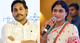 Sharmila on Jagan: ఈ శతాబ్దపు జోక్.. జగన్ బెయిల్ రద్దు అంశంపై స్పందించిన షర్మిల