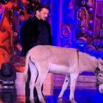 Bigg Boss 18 : బిగ్ బాస్ పై జాతీయ సంస్థ ఫైర్… ఆ కంటెస్టెంట్ ను బయటకు పంపాలంటూ డిమాండ్