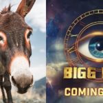 Bigg Boss: హౌస్ లోకి ముఖ్యఅతిథిగా గాడిద.. షాక్ లో ఆడియన్స్..!