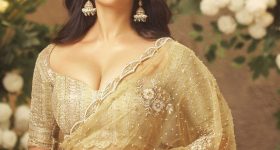 Nabha Natesh: బంగారు బొమ్మలా తయారయిన నభా.. రెండు ప్యాన్ ఇండియా సినిమాలతో మళ్లీ ఫార్మ్‌లోకి..
