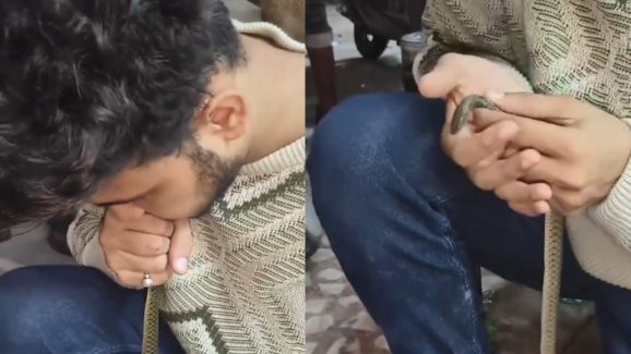 Viral Video: పాముకు CPR చేయడం ఏంటి బ్రో? నిజంగా నువ్ గ్రేట్ అబ్బా!