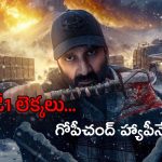 Viswam Collections : ‘విశ్వం’ ఫస్ట్ డే ఓపెనింగ్స్ అదిరిపోయాయి.. ఎన్ని కోట్లు కలెక్ట్ చేసిందంటే?