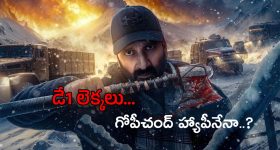Viswam Collections : 'విశ్వం' ఫస్ట్ డే ఓపెనింగ్స్ అదిరిపోయాయి.. ఎన్ని కోట్లు కలెక్ట్ చేసిందంటే?