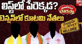 Nellore Nominated Posts: నెల్లూరు జిల్లాల్లో నామినేటెడ్ పోస్టుల టెన్షన్.. సెకండ్ లిస్టుపై కూటమి నేతల చూపులు.