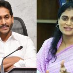 Sharmila vs Jagan: దమ్ముంటే అసెంబ్లీ రండి.. లేకుంటే రాజీనామా చేయ్యండి, జగన్‌కు షర్మిల సలహా