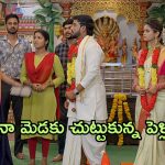 Gundeninda GudiGantalu Today Episode : శృతి మెడలో తాళికట్టిన రవి.. మీనా మెడకు చుట్టుకున్న పెళ్లి .. సత్యం అరెస్ట్..