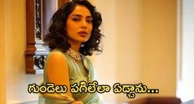 Shobitha Dulipala : అప్పుడు గుండెలు పగిలేలా ఏడ్చాను... అక్కినేని కోడలు బయటపెట్టిన నిజం..