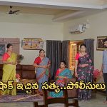Satyabhama Today Episode: మహదేవయ్యకు నిజం చెప్పిన సత్య.. రేణుక చెప్పిన అబద్దంతో షాకైన సత్య..
