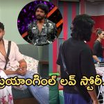 Bigg Boss 8 Telugu: బిగ్ బాస్ లో మరో లవ్ స్టోరీ.. నాగార్జున రియాక్షన్ ఏంటంటే?