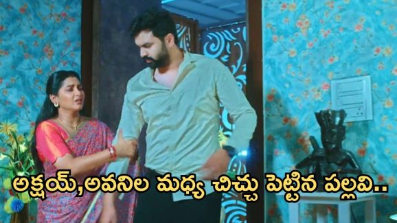 Intinti Ramayanam Today Episode : అక్షయ్, అవనిల మధ్య చిచ్చు పెట్టిన పల్లవి.. అబార్షన్ కోసం హాస్పిటల్ కు పల్లవి..
