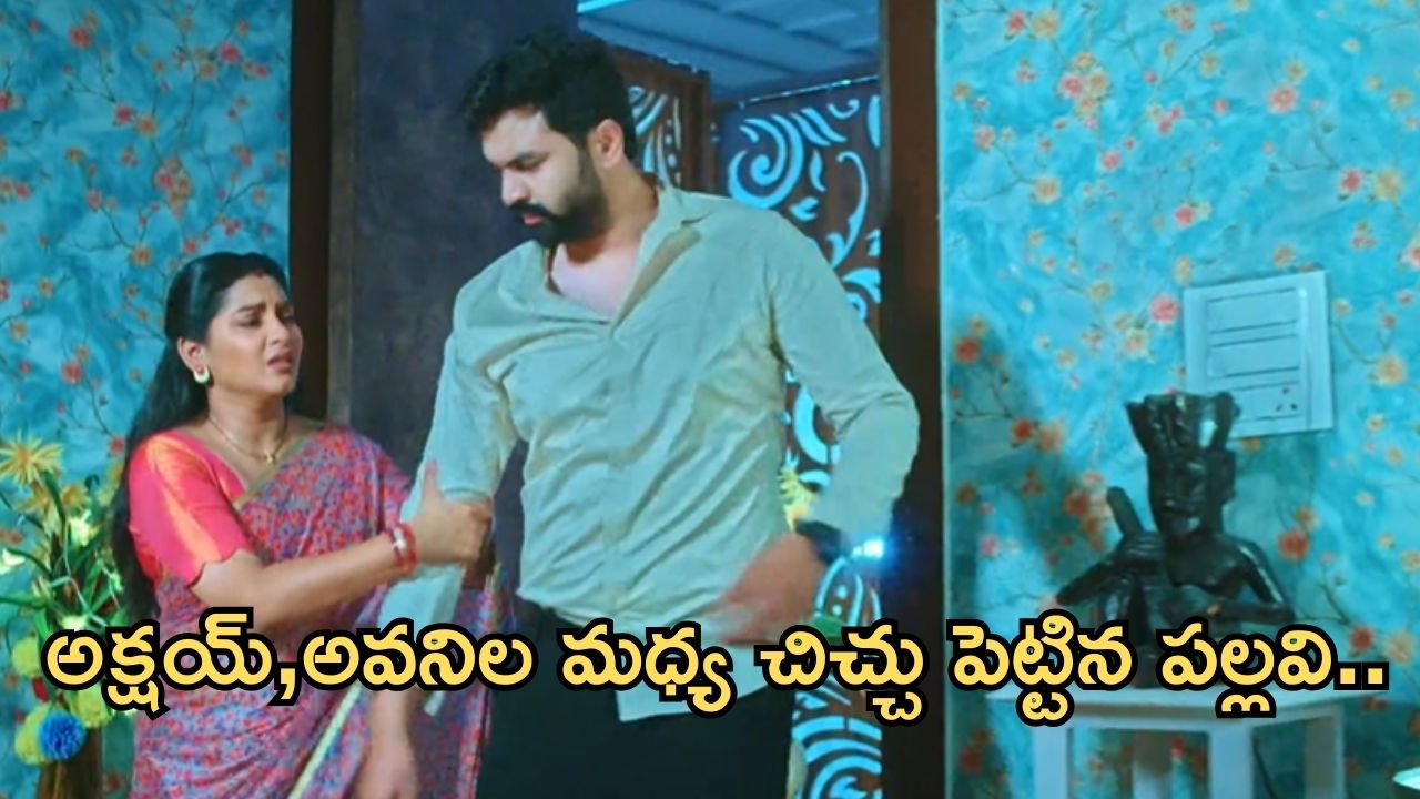 Intinti Ramayanam Today Episode : అక్షయ్, అవనిల మధ్య చిచ్చు పెట్టిన పల్లవి.. అబార్షన్ కోసం హాస్పిటల్ కు పల్లవి..