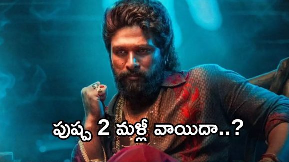 Pushpa 2 : పుష్ప 2 షూటింగ్ పెండింగ్.. మళ్ళీ వాయిదా కన్ఫర్మ్..?