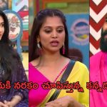 Bigg Boss: నమ్మి మోసపోయిన విష్ణు ప్రియ.. నరకం చూపిస్తున్నారుగా..?