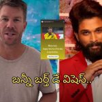Allu Arjun: డేవిడ్ వార్నర్ కు బన్నీ బర్త్ డే విషెస్.. అలా సంబోధిస్తూ..!