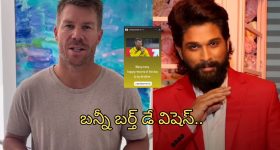 Allu Arjun: డేవిడ్ వార్నర్ కు బన్నీ బర్త్ డే విషెస్.. అలా సంబోధిస్తూ..!