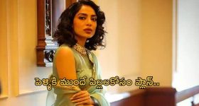 Shobhitha Dulipala : పెళ్లికి ముందే పిల్లలు.. అక్కినేని కొత్త కోడలు ప్లానింగే వేరు..