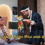 Intinti Ramayanam Today Episode : పల్లవి, కమల్ శోభనం కోసం అవని ప్లాన్.. జరిగింది తెలుసుకొని షాక్ అయిన పల్లవి…