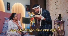Meena: మరి నన్ను ఎందుకు పిలిచారు అంటూ హిందీ విలేకరులపై మీనా ఫైర్..!