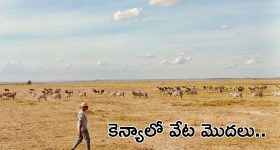Vijay Political Party: తమిళ రాజకీయాల్లో రజినీ, కమల్ అలా.. మరి విజయ్? ఆ స్పేస్‌ను TVK భర్తీ చేయగలదా?