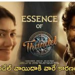 Thandel Movie : అల్లు అరవింద్, చైతన్య వల్లే సినిమా వాయిదా… స్టేజ్‌పైనే మొత్తం చెప్పేశాడు..