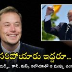 Elon Musk: మస్క్ మామ బంపర్ ఆఫర్.. అలా చేస్తే రూ.4 వేలు ఇస్తాడట, చంపేద్దాం అనుకుంటున్నాడా?