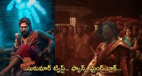 Pushpa 2: పుష్పగాడికి పోటీగా అమ్మాయా.. సుకుమార్ ట్విస్ట్ అదుర్స్..!