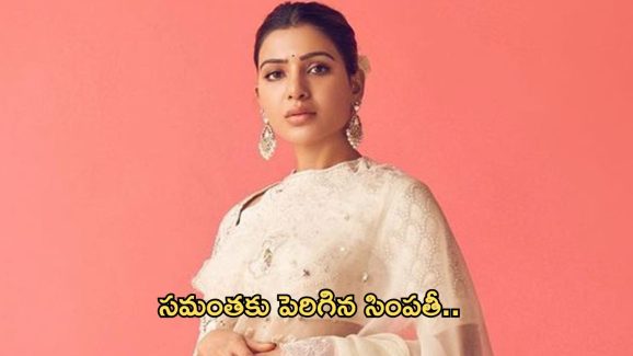 Samantha : ఆ వ్యాఖ్యలు బాధకరమే… కానీ, సామ్‌కి ప్లస్ అయ్యాయా…?