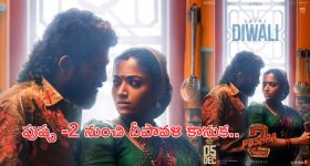 Haircare Tips: జుట్టు విపరీతంగా రాలిపోతుందా ? అయితే మీరు ఈ తప్పులు చేస్తున్నారేమో !