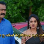 Intinti Ramayanam Today Episode : అవనిపై పగతో రగిలిపోతున్న పల్లవి.. అవని స్టోరీలో మరో ట్విస్ట్..