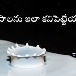 Milk adulteration: కల్తీ పాలను గుర్తించడం ఎలా? ఈ సింపుల్ టిప్స్‌తో ఈజీగా కనిపెట్టేయొచ్చు