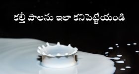 Tamil Nadu Governor: 'జాతీయ సమైక్యతను అవమానించారు.. గవర్నర్‌ను రీకాల్ చేయండి'.. కేంద్రాన్ని కోరిన సిఎం