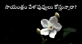 Ind vs Pak: పాకిస్తాన్ పై.. టీమిండియా గ్రాండ్ విక్టరీ