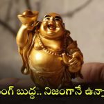 Laughing Buddha: లాఫింగ్ బుద్దా ఎవరో తెలుసా? ఆ విగ్రహం అంత పాపులర్ కావడానికి కారణాలు ఇవే