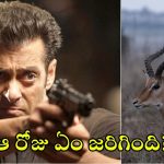 Salman Khan: సల్మాన్ నిజంగానే ఆ జింకను కాల్చాడా? ఆ రోజు అతనితో ఉన్న హీరోయిన్స్ ఎవరు? వారికీ ముప్పుందా?