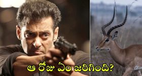 Salman Khan: సల్మాన్ నిజంగానే ఆ జింకను కాల్చాడా? ఆ రోజు అతనితో ఉన్న హీరోయిన్స్ ఎవరు? వారికీ ముప్పుందా?