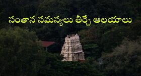 OTT Movie : కుర్రాడితో ఆ పని కోసం క్యూ కట్టే అమ్మాయిలు... బుర్ర కరాబ్ చేసే బో*ల్డ్ మూవీ