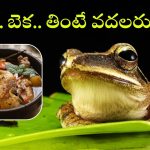 Frogs Health Benefits: కప్పలు తింటే ఇన్ని లాభాలున్నాయా? పదండ్రా పట్టుకొద్దాం!