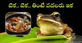 Intinti Ramayanam Today Episode : ఇంట్లో ఫంక్షన్ ను చెడగొట్టాలని పల్లవి ప్లాన్.. అవనిని ఇరికించిన పల్లవి..
