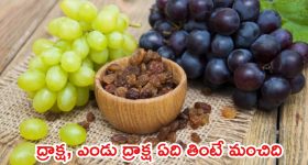 OTT Movies: ఈ వారం ఓటీటీలోకి 15 సినిమాలు.. ఆ సూపర్ హిట్ మూవీని అస్సలు మిస్ చెయ్యకండి..